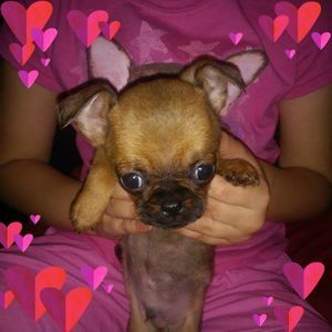 Meet your Posher, Jeanette